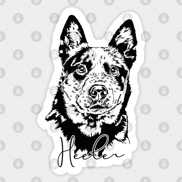 Funny Blue Heeler lover dog portrait Sticker by wilsigns